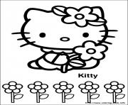 hello kitty 15