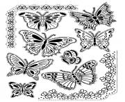 adult difficult butterflies vintage