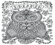 adult owl dreamer