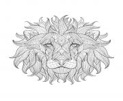 adult africa lion head 3