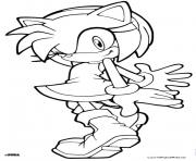 sonic friend cute