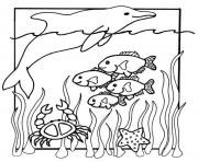 kids s of sea animals40a9