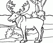 moose free animal s printable1f4a