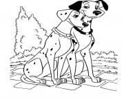 romantic dalmatian couple 21b1