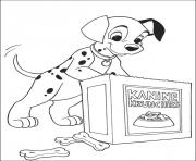 dalmatian craves for cookies b5f1