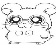 cute dexter hamtaro s3b70