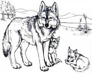 Wolf with baby wolfs