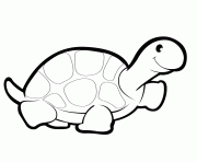 cute cartoon turtle