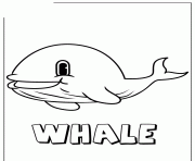 cute whale