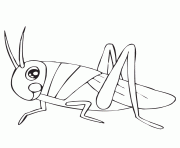 cute grasshopper