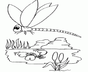 kids dragonfly animal 5b62