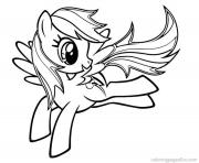 rainbow dash fly 2