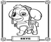 paw patrol skye