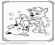 paw patrol rocky play