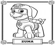 paw patrol zuma