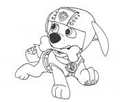 paw patrol zuma with a bone