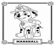 paw patrol marshall