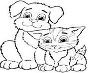 cute cat and puppy df2f