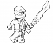 lego ninjago cole