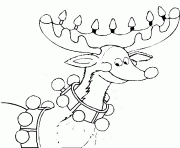 Rudolph Reindeer