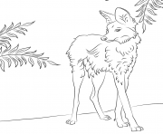 maned wolfs