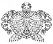 adult zentangle zen turtle