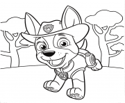 Jungle Pup Tracker PAW Patrol