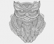 animals advanced owl