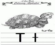 coloring alphabet traditional turtle