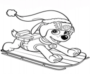 zuma on sled paw patrol