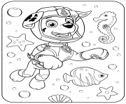 PAW Patrol Marshall Underwater