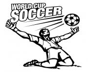 world cup soccer