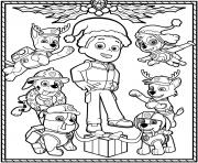 Paw Patrol Holiday Christmas