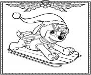 Paw Patrol Holiday Christmas Zuma