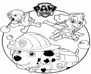 paw patrol cartoon