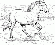 Galloping Horse