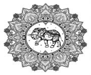 adult mandala elephant india zentangle