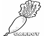 vegetable carrot