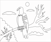 bald eagle animal simple