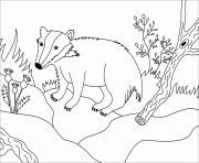 badger animal simple