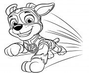 Paw Patrol Mighty Pups Chase