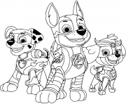 Paw Patrol New Series