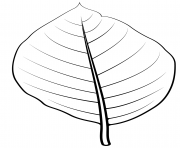 cucumber tree leaf