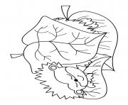 fall cute cartoon hedgehog sleeping under leaves