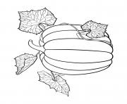 fall pumpkin patterned vine leaves