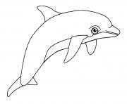 dolphin aquatic animal