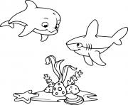 Cute Dolphin and a Shark Under Sea