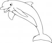 Tucuxi Dolphin