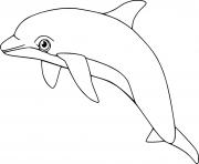 Hectors Dolphin