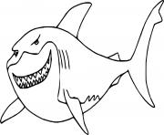 Smiling Great White Shark